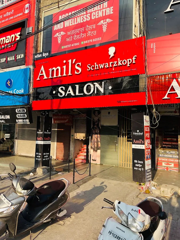 Amils Hair Lounge Patiala profile image