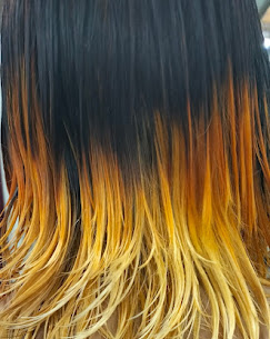 Sushma Beauty Parlour Academy Meerut hair