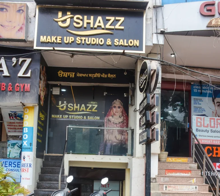 Ushazz Makeup Studio Salon Ludhiana profile image 768x684