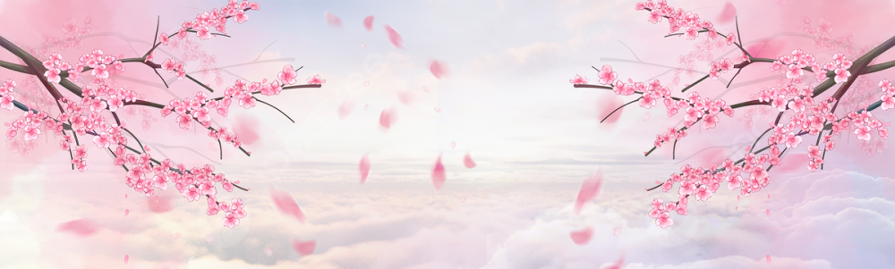 User banner image