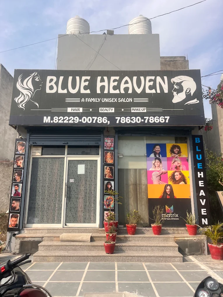 Blue Heaven A Family Unisex Salon Panipat profile image