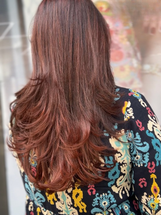 Naturals Signature Salon Rohtak haircut