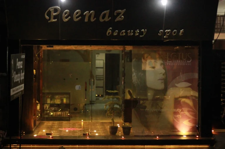 Peenaz Beauty Spot rohtak profile image 768x511