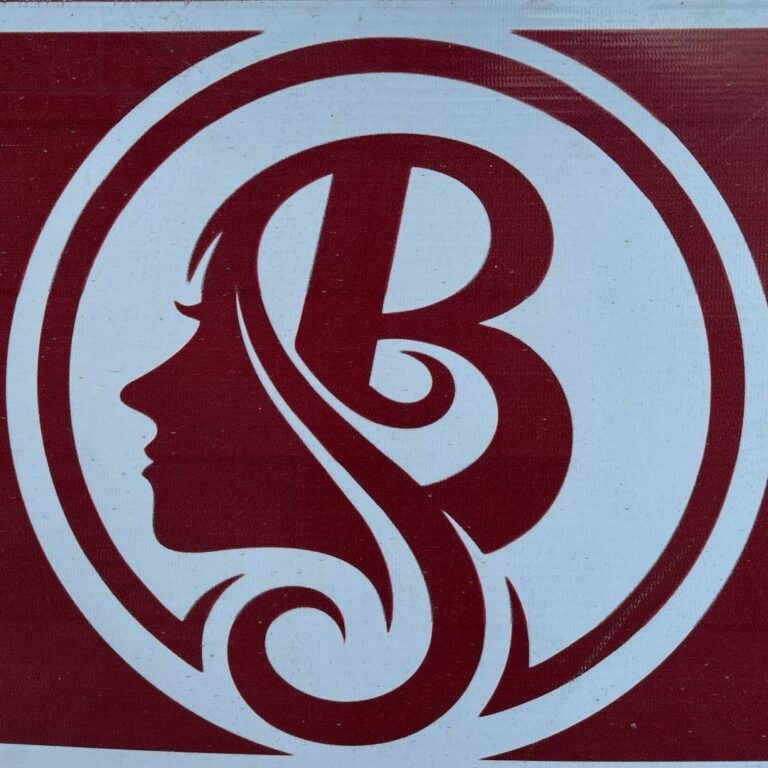 Style Beauty Unisex Hair Salon Kaithal logo 768x768