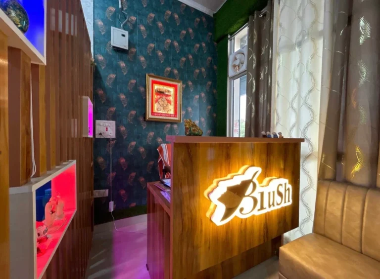 Blush Makeup Studio By Hema Sharma Bhiwani profile image 768x565