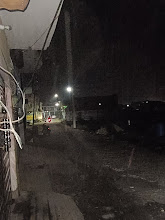 1000205378